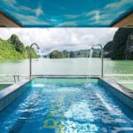 Halong Carnival Cruise: Caves, Kayaking Adventure & Local Cuisine - What Makes This Tour Stand Out?