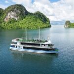 Halong Carnival Cruise: Caves, Kayaking Adventure & Local Cuisine - What Makes This Tour Stand Out?