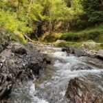 Hamamatsu Japan: Riverside Camping - Final Thoughts