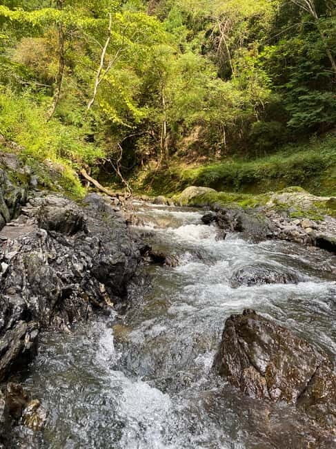 Hamamatsu Japan: Riverside Camping - Final Thoughts