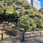 Hamarikyu - Ginza Park Tour - The Tour Itself: What to Expect