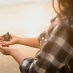 Hambantota Port: Galle Fort ,River Safari & Sea Turtle Visit - Practical Details and Tips