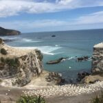 Hamilton Gardens & Hobbiton Exclusive Luxury Day Tour From Auckland - What Makes This Tour Stand Out?