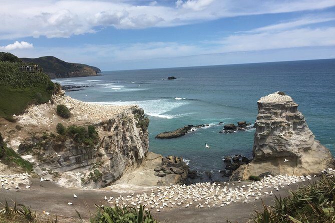 Hamilton Gardens & Hobbiton Exclusive Luxury Day Tour From Auckland - What Makes This Tour Stand Out?