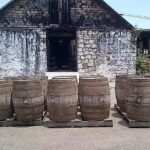 Hampden Estate Rum Tour and Lunch from Montego Bay - Analyzing the Value