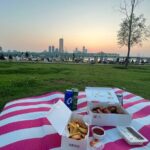 Han River sunset Chicken & Karaoke Private Tour - Transportation and Logistics