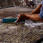 Handicraft tour/rice paper,/rice wine/bat cave Sun Set - Exploring Battambang with a Local Guide