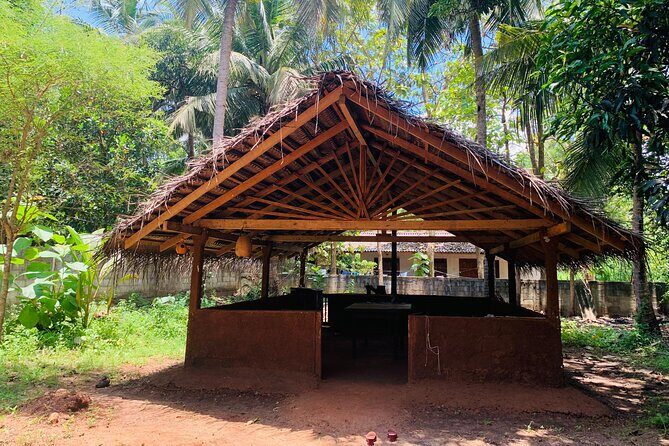 Hands-On Cooking Class in Anuradhapura-Cook Like a Local - Deep Dive into the Experience