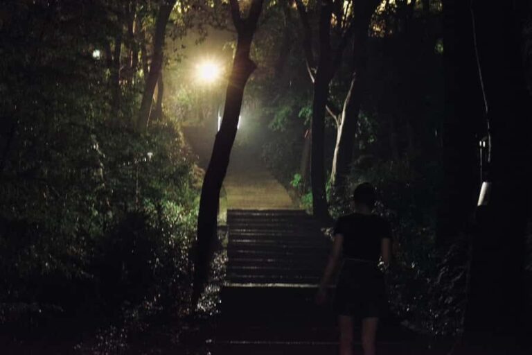 Hangzhou After Dark: Baoshi Hill for the Adventurous - A Deep Dive into the Baoshi Hill Night Hike