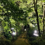 Hangzhou : Cool Morning/Night Baoshi Mountain Guided Tour - Why This Tour Is Worth Considering