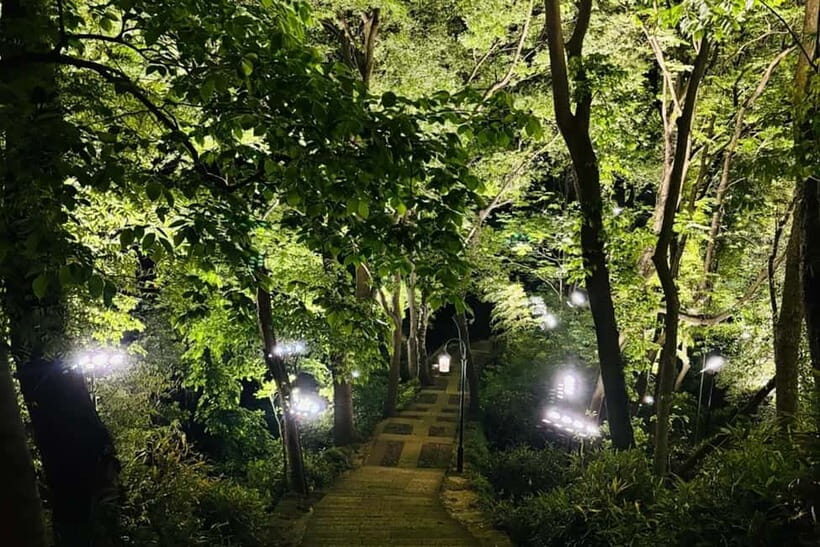 Hangzhou : Cool Morning/Night Baoshi Mountain Guided Tour - Why This Tour Is Worth Considering