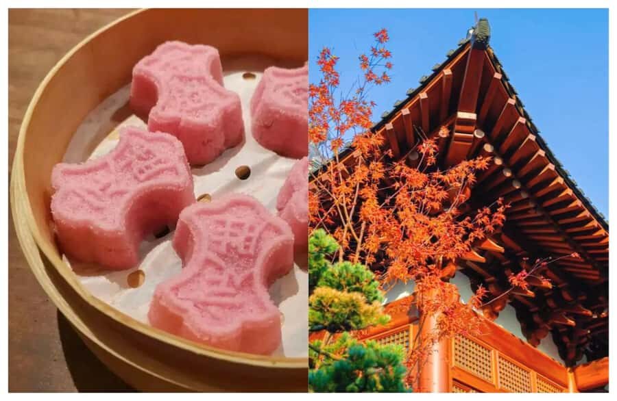 Hangzhou Food Tour: Tasting & History on Hefang Street - The Experience and Its Flavors