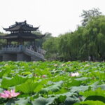 Hangzhou Heaven on Earth Full Day Private Tour from Shanghai - Walking Along the Su Causeway