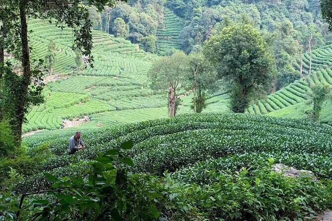 Hangzhou Iconic Group Day Tour - Who Should Consider This Tour?