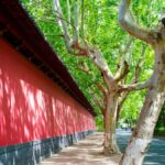 Hangzhou: Southern Song Heritage Sightseeing Hiking Tour - Practical Details & What to Expect