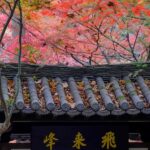 Hangzhou Temples Trail: Explore Lingyin, Faxi, and Yongfu - Exploring Hangzhou’s Hidden Temples