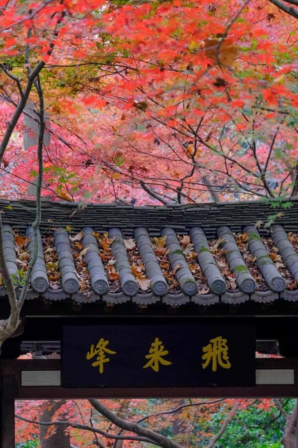 Hangzhou Temples Trail: Explore Lingyin, Faxi, and Yongfu - Exploring Hangzhou’s Hidden Temples