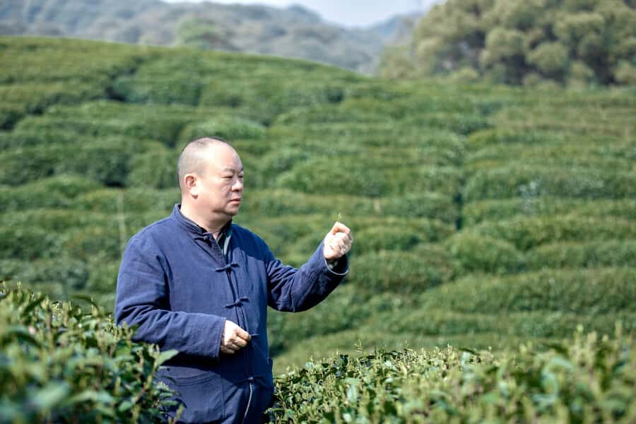 Hangzhou: UNESCO Tea Culture Experience Hand Fry & Taste - A Deep Dive into the Hangzhou Tea Experience