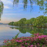 Hangzhou: West Lake and Tea Plantation Day Trip - Authentic Experiences & Insider Insights