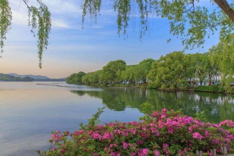 Hangzhou: West Lake and Tea Plantation Day Trip - What Makes This Tour Stand Out?