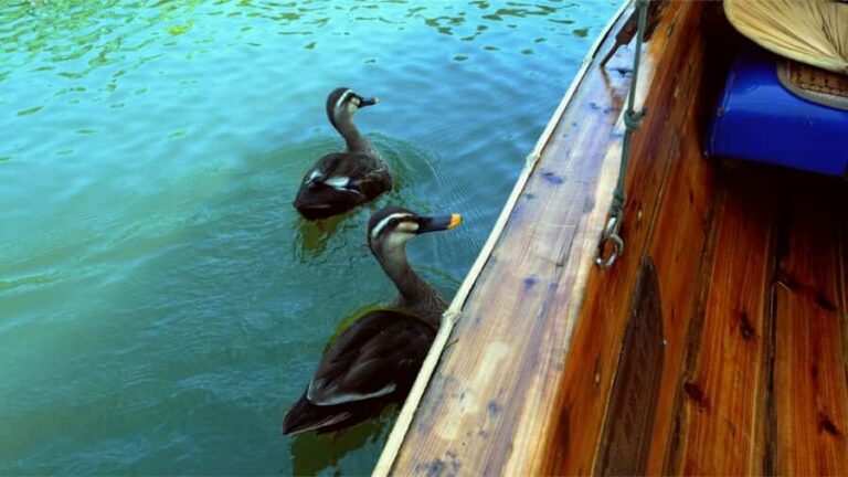 Hangzhou: West Lake Yuloh Boat with Local Guide - The Gushan Park Stop: Breathtaking Panoramic Views