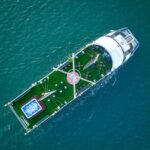 Hanoi: 5-Star Sea Lion Luxury Day Cruise in Halong, Buffet Lunch - What Makes This Tour Stand Out?