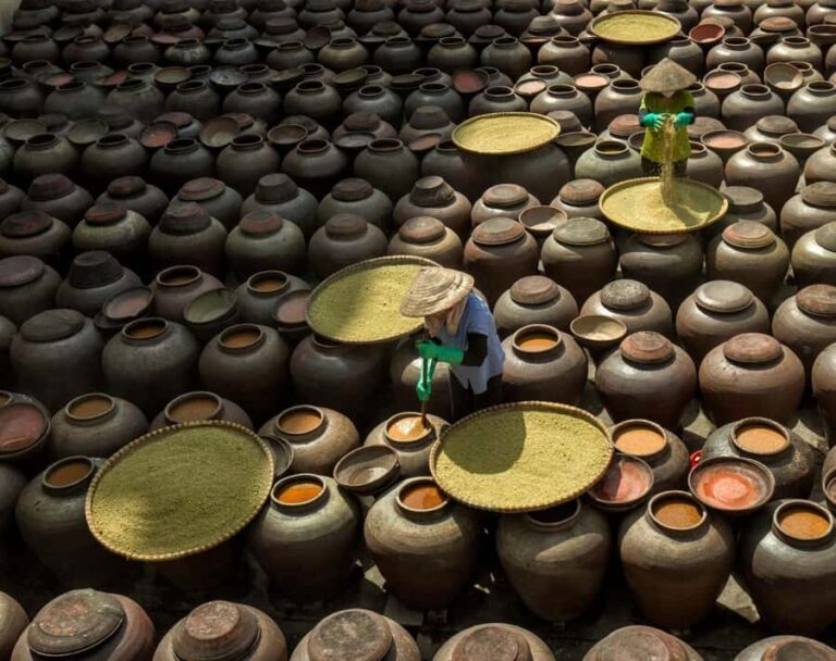 Hanoi: Bird Park & Soy Sauce Village or Hat, Incense Village - Good To Know