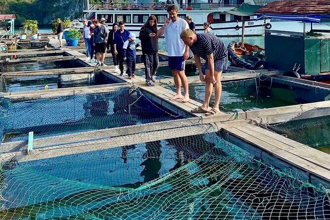 Hanoi- Cat Ba 2D1N: Hike Cat Ba National Park& Explore Lan Ha Bay - Value and Price Analysis