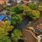 Hanoi City Tour Full Day With Hiddn Local Life Experience - What You Can Expect: Practical Insights