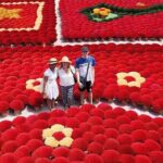 Hanoi: Half-Day to Quang Phu Cau Incense Village & Conical Hat - A Detailed Breakdown of the Itinerary