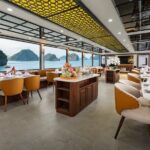 Hanoi : Halong Bay Cruise with Jacuzzi , Kayaking & Local Cuisine - The Practical Side: What You Need to Know