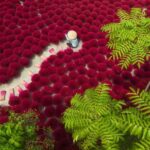 Hanoi: Hand Fan Village Or Hat & Incense Village SMALL GROUP - Starting Point: Easy Access from Hanoi