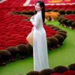 Hanoi: Hat Village & Incense Village or Temple Of Literature - Exploring Hanoi’s Cultural Gems