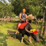 Hanoi: Hoa Lu Ancient Capital, Tam Coc Boat Ride & Scenic Biking - Pricing and Value