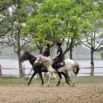Hanoi Horseback Riding Club & Tours - Exclusive Experience - FAQ