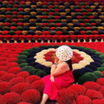 Hanoi: Incense Village, Hat, and Lacquer Artisanal Tour - Who Should Book This Tour?
