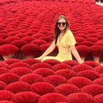 Hanoi: Incense Village, Hat Artisanal - Group/Private Tour - A detailed look at the tour experience