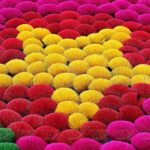 Hanoi: Incense Village & Hat or Shoe Factory, Perfume Pagoda - The Scenic Boat Ride and Buddha’s Serenity