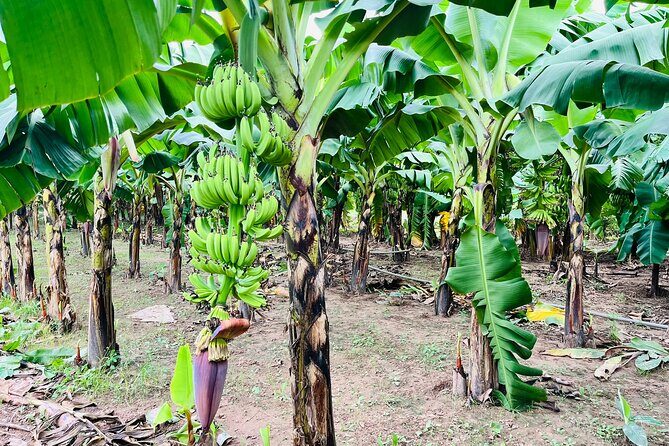 Hanoi Jeep Tour: History, Culture, Sight & Train St. by Army Jeep - Exploring Hanoi in a Jeep: An Unconventional City Tour