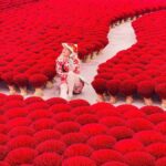 Hanoi Lotus Silk Village or Hat, Incense Village SMALL GROUP - Who Will Love This Tour?