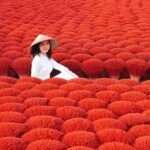 Hanoi Mother-of-Pearl Inlay Village or Hat & Incense Village - Why This Tour Is Worth Your Time