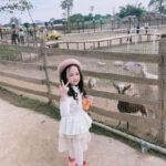 Hanoi: Rainbow Slide & Horse Riding  Small Group Half-day - Authentic Insights from Reviews