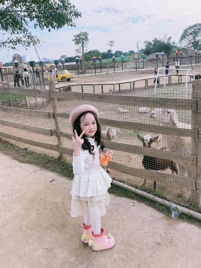 Hanoi: Rainbow Slide & Horse Riding  Small Group Half-day - Authentic Insights from Reviews