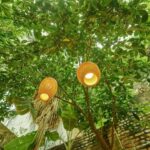 Hanoi: Rose Kitchen: Pho/Bun Cha/Nem+ Free Egg/ Salt Coffee - The Heart of the Experience