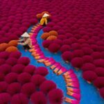 Hanoi: Salt-Making Village Or Incense Village & Hat Village - Exploring the Salt-Making Village: Bach Long