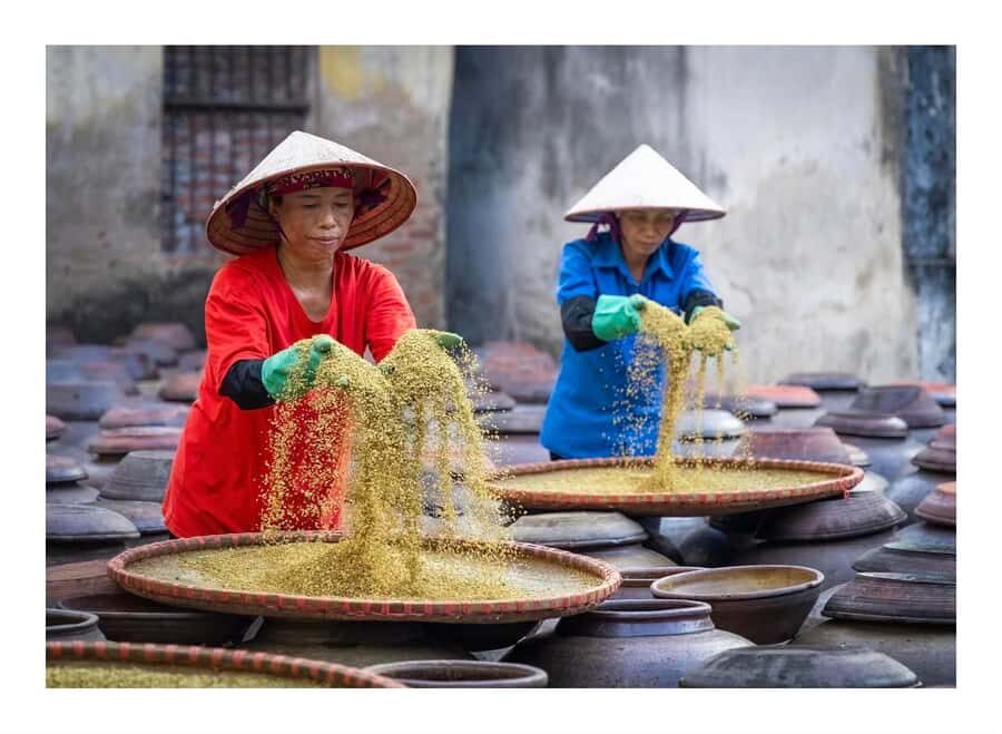 Hanoi: Sauce Village & Hanoi Museum or Hat & Incense Village - Who Is This Tour Best Suited For?