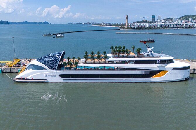 Hanoi to Halong Bay 6 Star Day Cruise Swim Buffet and Live Music - What Makes This Tour Stand Out