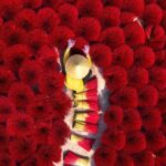 Hanoi Traditional Craft Villages: Incense, Hat & Lacquer Art - FAQ: Common Questions About the Hanoi Craft Villages Tour