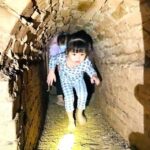 Hanoi: Wartime Tunnel Or Ho Chi Minh Complex & Prison Museum - Tour Logistics: What You Need to Know