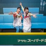 Hanshin Koshien Stadium Museum Entry Ticket & Souvenir Gift - The Panoramic View and Unique Photo Opportunities